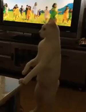 just walk away