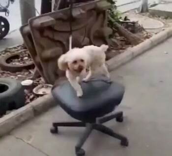 you spin me right round baby