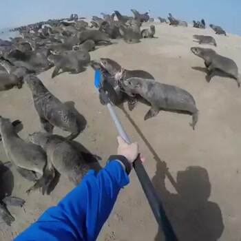 these guys are ok in my book