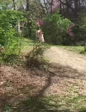 so how do you stop this thing again