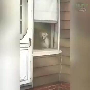 nobody is breaking into this house