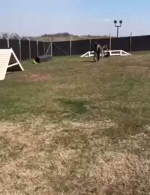 dogg almost had him