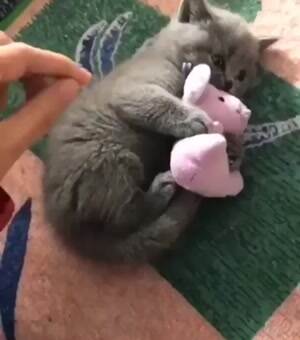 no taking my toy away