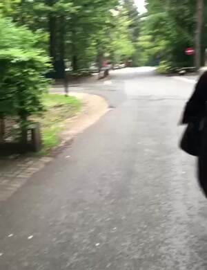 the attack squirrel