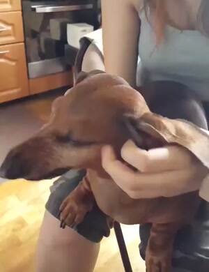 i got the itch