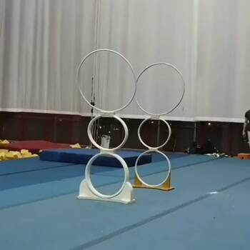 amazing flips through rings