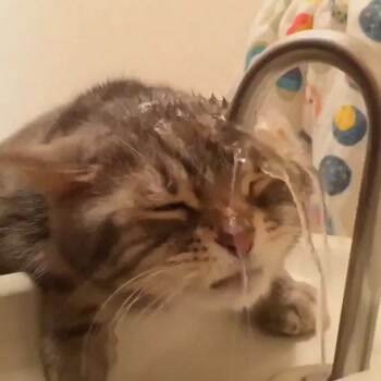 I really need a bath