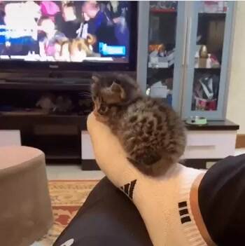 I found the perfect place to sleep
