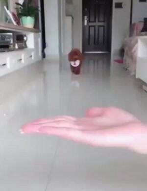 What do you have for me