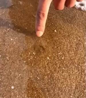 This little crab is good at hiding