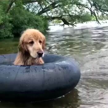 A moment of relaxation