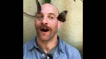 The Butterfly whisperer
