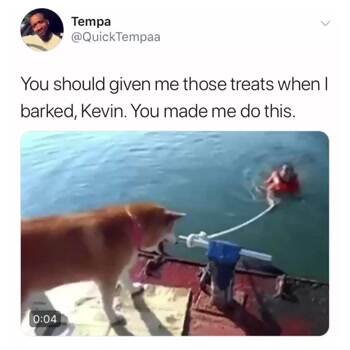 You should have given me those treats