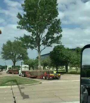 Moving some trees
