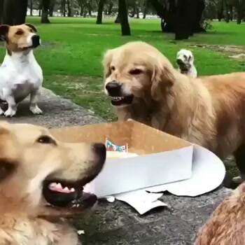 You back off of my cake