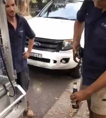 Let me get that open for you