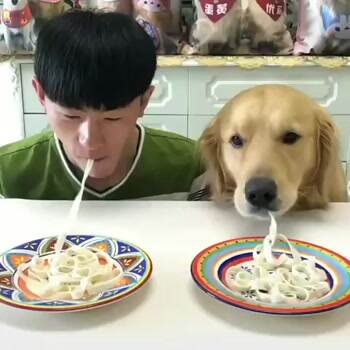 Racing through the noodles