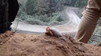 Some awesome driving skills