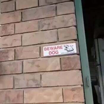 Beware of the dog