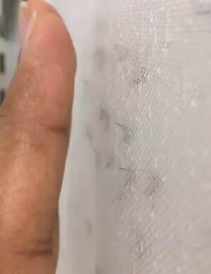 Teasing mosquitoes in the lab