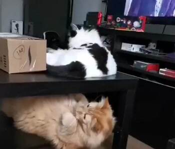 Do you think this is a game