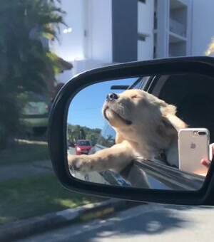 Sticking my head out while we drive
