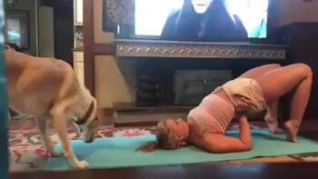 Your yoga makes me sick