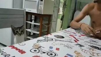 Wait you did what now