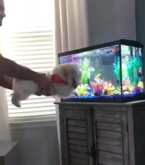 Swimming along with the fishies