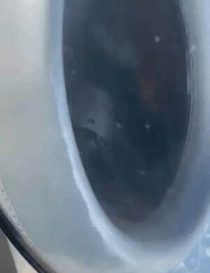 Uhm thanks for the window seat