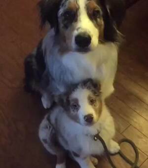 Hey stop talking to my little buddy that way