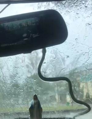 Redneck wipers