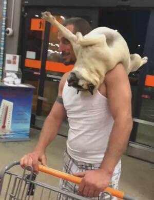 This dog wants to be a parrot