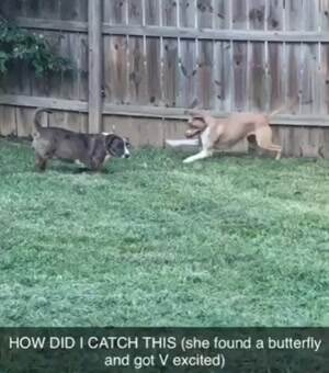 How did I catch this