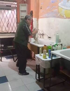 The best doggy wash ever