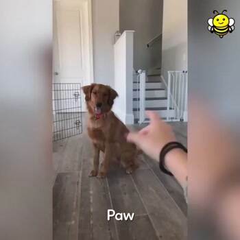Come here and give me give