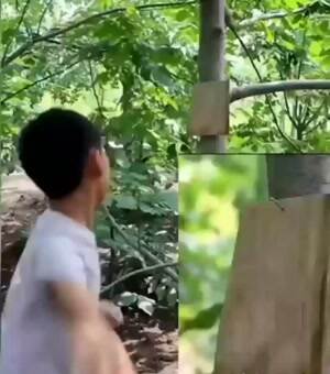 The ninja of card throwing