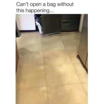 Cannot open a bag without this happening