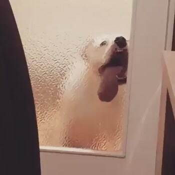 Let me Innnnnnnnn