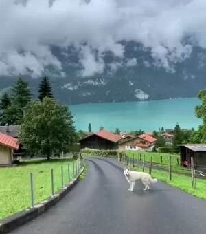 What a beautiful view at Lake Brienz