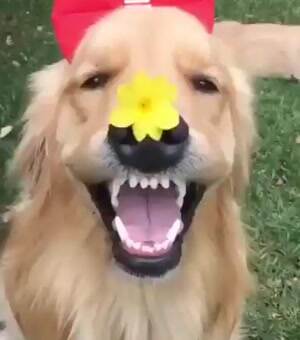 Hahahaha look at my flower