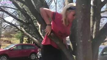 stuck in the tree
