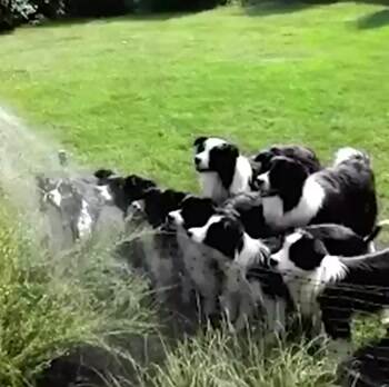 Water time