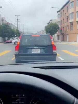 Doggie Window Licker