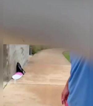 That was a pretty cool throw