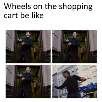 The wheels on the shopping cat be like