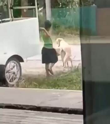 Kid not now