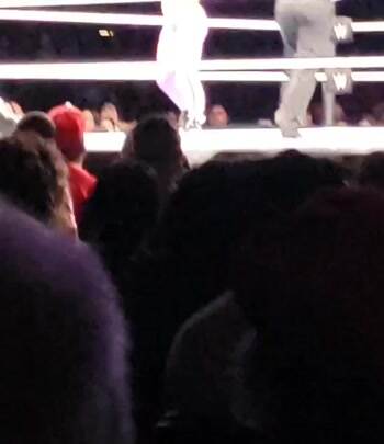 Ultimate wrestling move