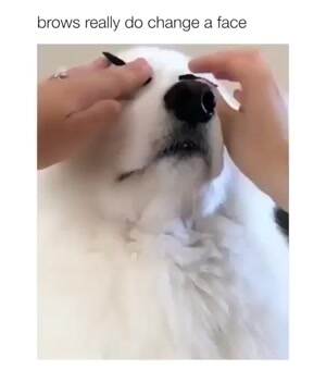 Brows really do change the face