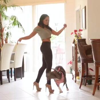 Dancing with my pooch